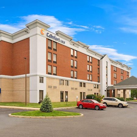 Comfort Inn Lehigh Valley West Fogelsville Exterior photo